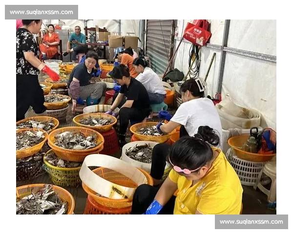 激情角逐大海深处捕捞奇迹 捕鱼比赛挑战极限展现渔民风采