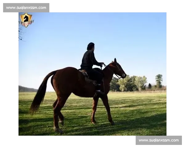 竞技骑马赛事精神与技巧规则培养与荣誉追求全景解析发展历程探讨